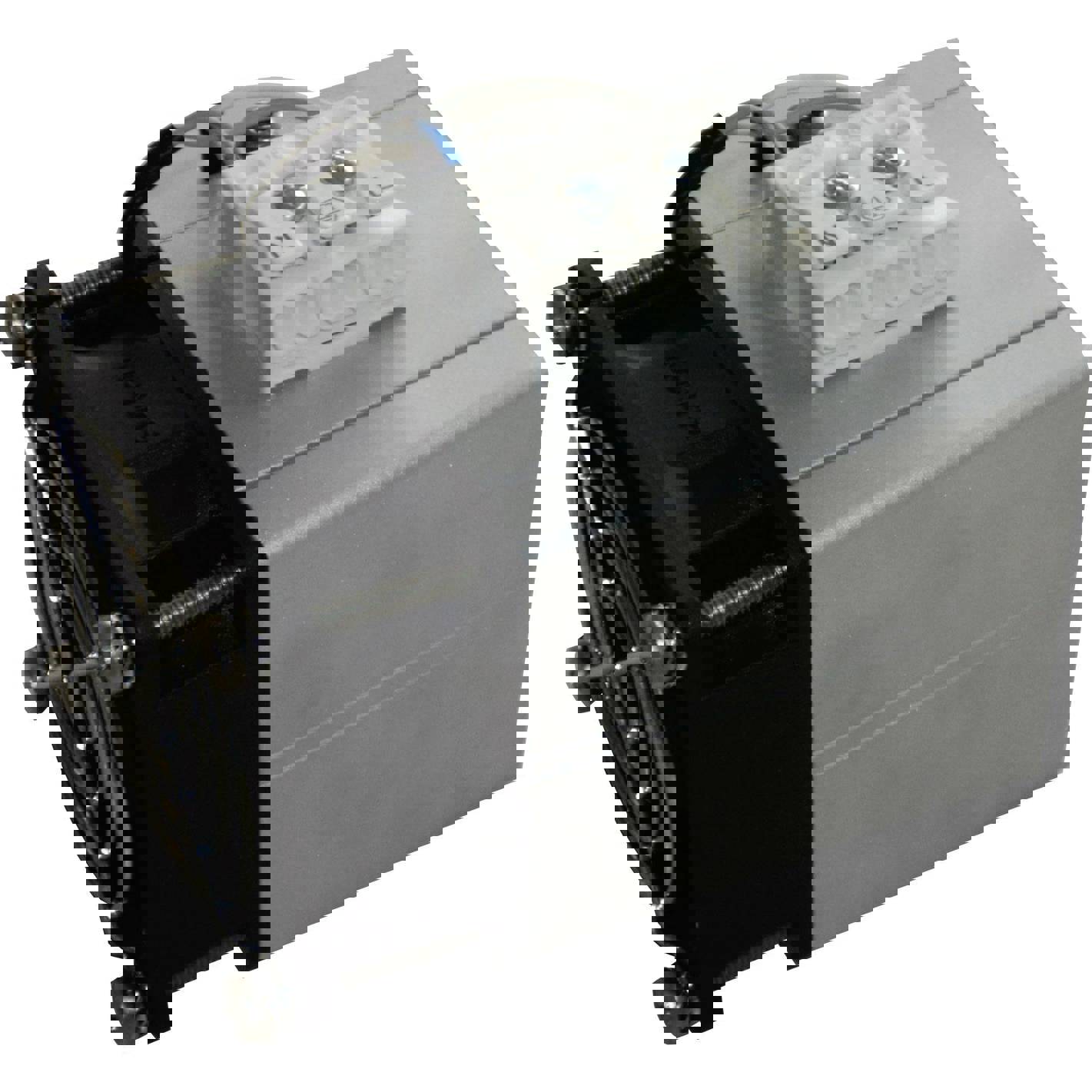 Mixi Schaltschrank-Gebläseheizung 100 W mit Thermostat 230V/AC (Modell Mixi 100 W) - Rose LM