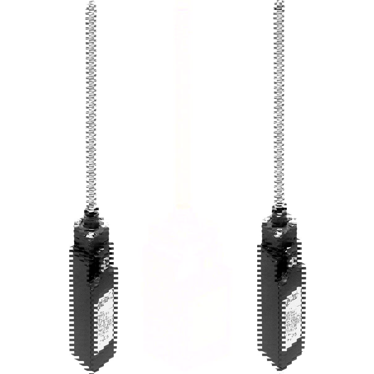 FR 525-M2 Endschalter tastend mit Federstab und Schraubenanschluss 250V/AC 6A IP67 - Pizzato Elettrica